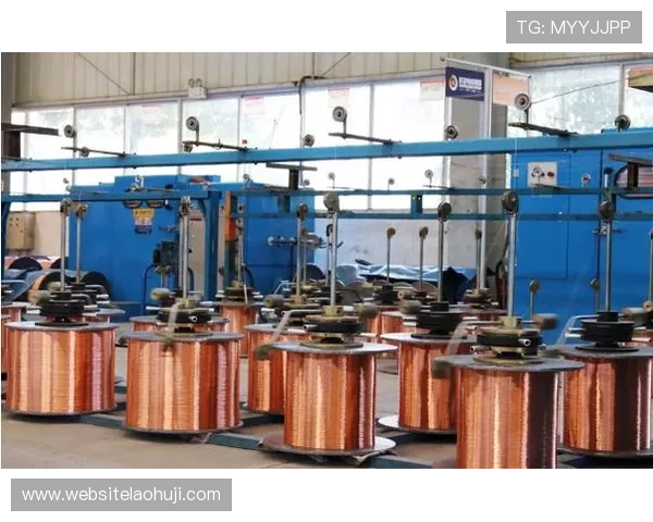 多宝电子未来发展战略规划及其在行业中的竞争优势