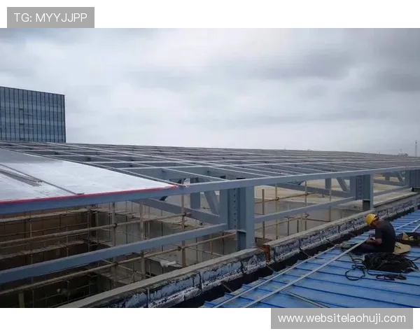 多样化的老虎机购买平台,涵盖各种类型和款式,满足不同客户的个性化需求 多样化的老虎机购买平台,涵盖各种类型和款式,满足不同客户的个性化需求