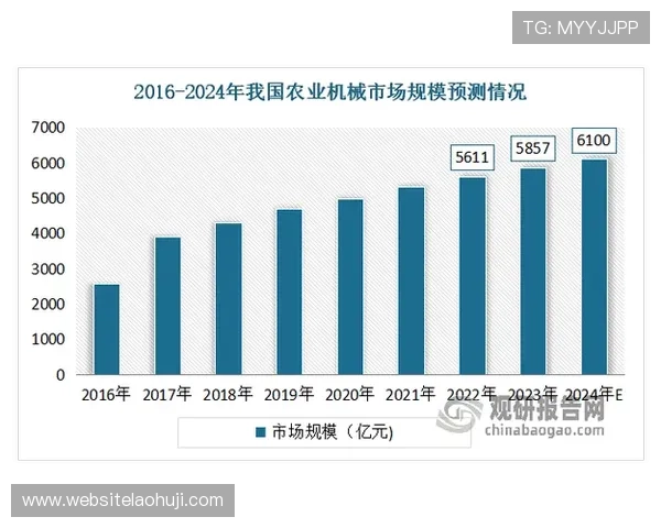 多宝电子在电子商务领域的创新应用与未来发展趋势分析